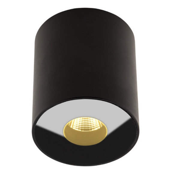 MAXLIGHT C0151 PLAZMA PLAFON CZARNY IP54