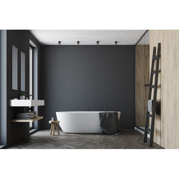 MAXLIGHT C0151 PLAZMA PLAFON CZARNY IP54