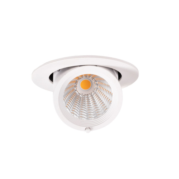 MAXLIGHT H0132 OPRAWA WPUSTOWA RUBIO 10W BIAŁA
MAXLIGHT H0132 OPRAWA WPUSTOWA RUBIO 10W BIAŁA