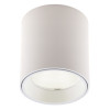 MAXLIGHT C0155 LAMPA SUFITOWA TUB OKRĄGŁY BIAŁY+ PIERŚCIEŃ OZDOBNY BIAŁY RC0155/C0156 WHITE
