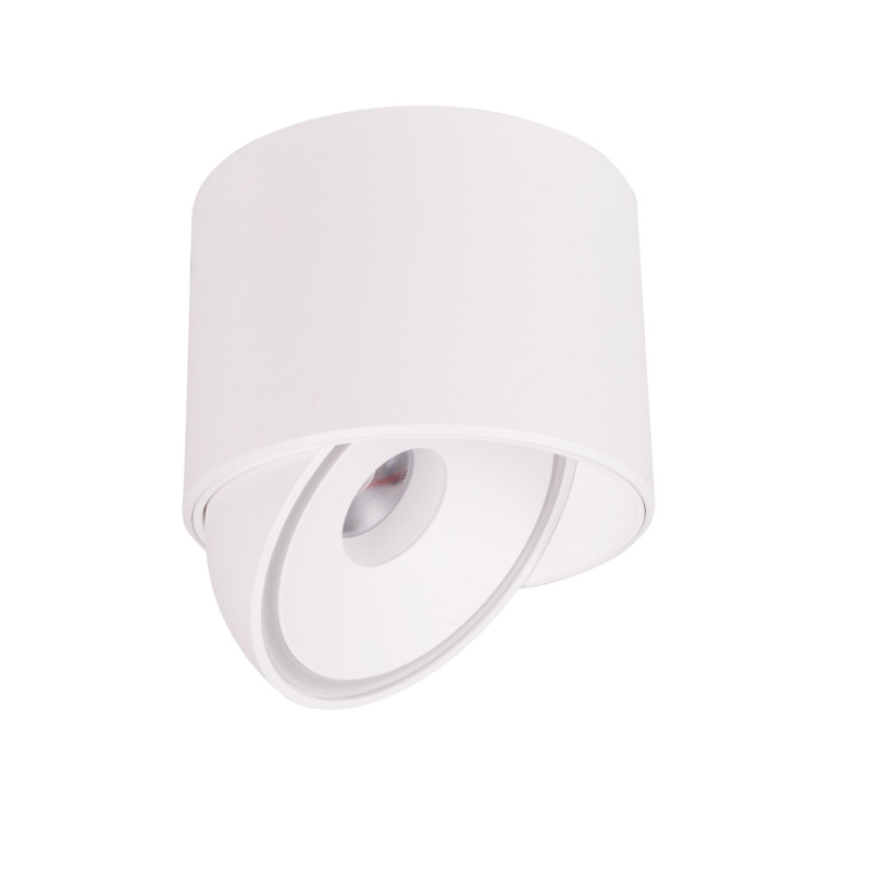 MAXLIGHT C0265 LAMPA SUFITOWA VECTOR 10W BIAŁA
