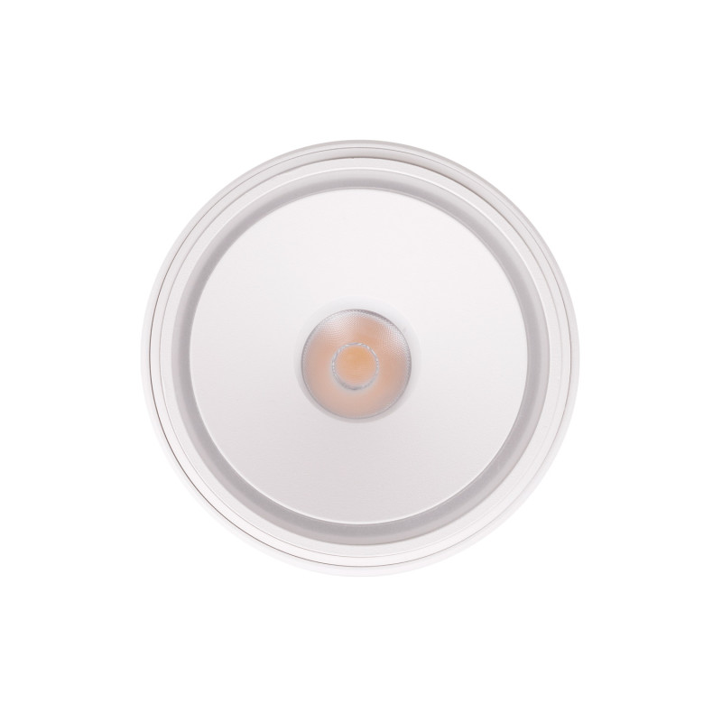 MAXLIGHT C0265 LAMPA SUFITOWA VECTOR 10W BIAŁA
