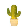 CACTUS 13513/01/33