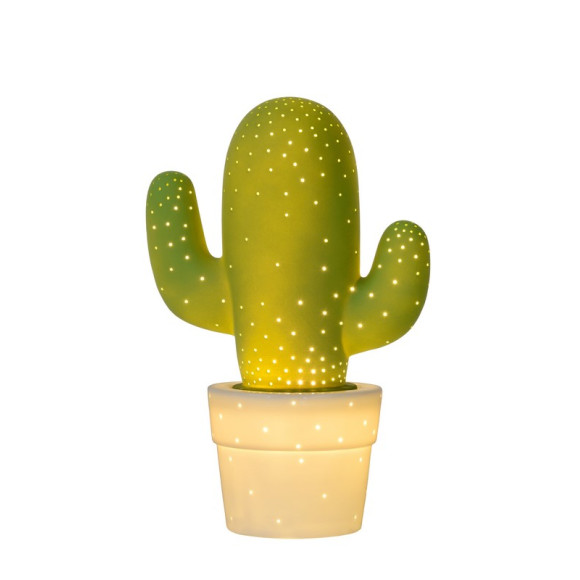 CACTUS 13513/01/33