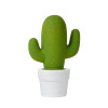 CACTUS 13513/01/33
