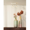 JASTER LED 11903/10/31