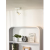 JASTER LED 11903/05/31