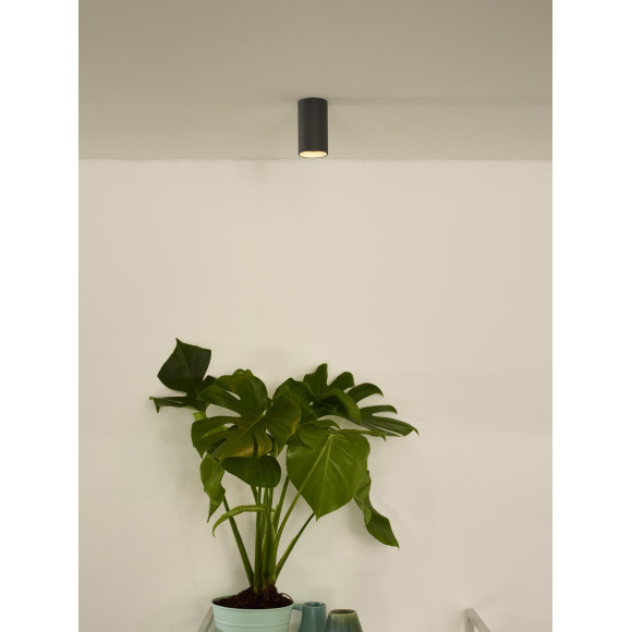 DELTO LED 09915/06/36 DELTO LED 09915/06/36
