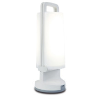 lampa DRAGONFLY 6904101331 nan | Sklep z lampami