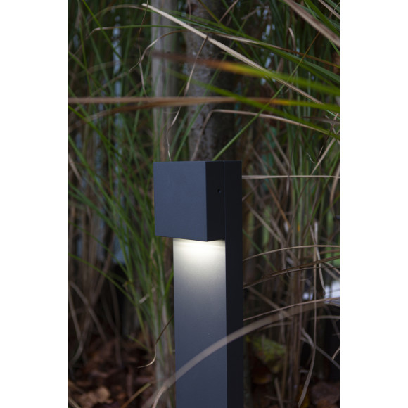 lampa GEMINI XF 7104001118 nan | Sklep z lampami lampa GEMINI XF 7104001118 nan | Sklep z lampami