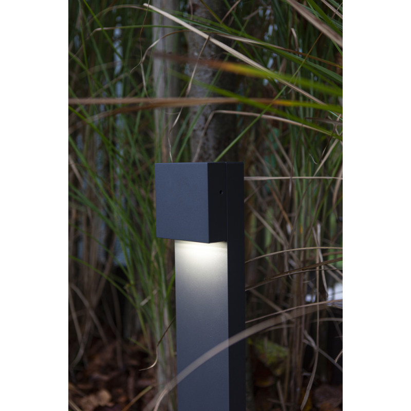 lampa GEMINI XF 7104001118 nan | Sklep z lampami lampa GEMINI XF 7104001118 nan | Sklep z lampami