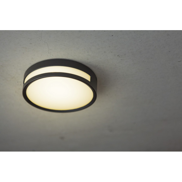 lampa ROLA 6382201012 nan | Sklep z lampami lampa ROLA 6382201012 nan | Sklep z lampami