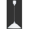 lampa wisząca DIEGO 301400101 Trio | Sklep z lampami
