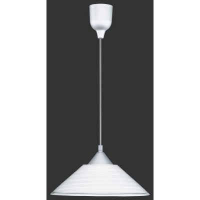 lampa wisząca DIEGO 301400101 Trio | Sklep z lampami