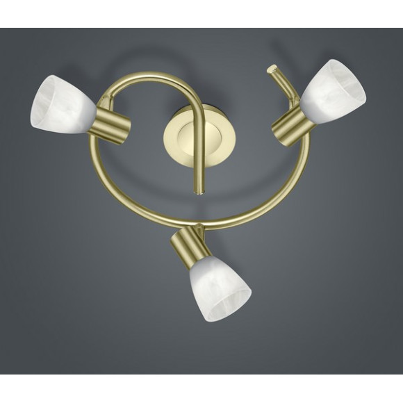 lampa sufitowa LEVISTO 871090308 Trio | Sklep z lampami lampa sufitowa LEVISTO 871090308 Trio | Sklep z lampami