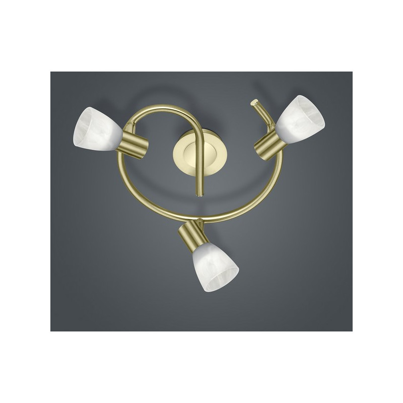 lampa sufitowa LEVISTO 871090308 Trio | Sklep z lampami lampa sufitowa LEVISTO 871090308 Trio | Sklep z lampami