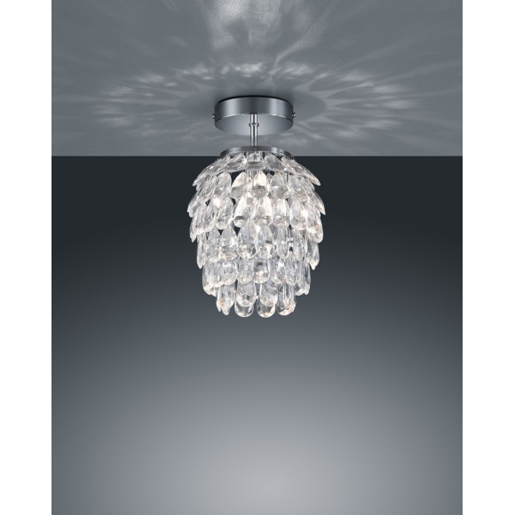 PETTY R60451006