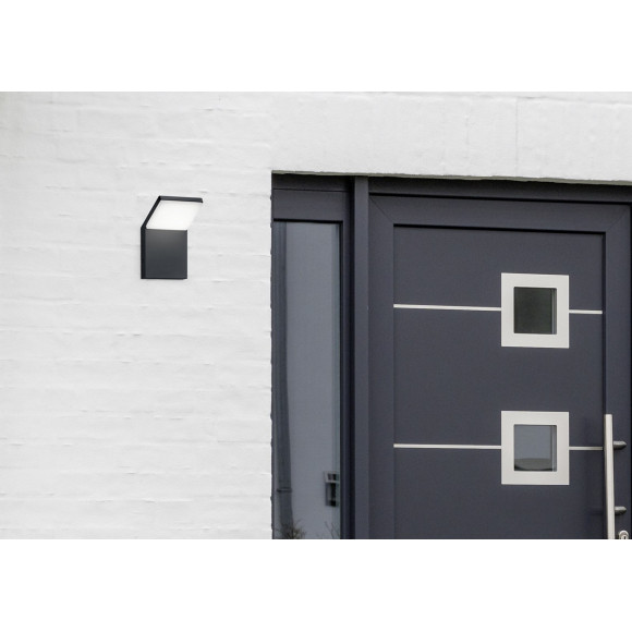 lampa PEARL 221160142 Trio | Sklep z lampami lampa PEARL 221160142 Trio | Sklep z lampami