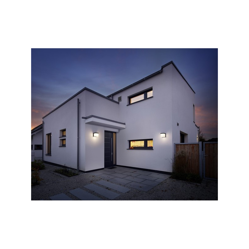 lampa YANGTZE 228260142 Trio | Sklep z lampami lampa YANGTZE 228260142 Trio | Sklep z lampami