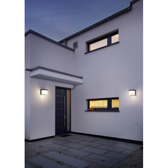 lampa YANGTZE 228260142 Trio | Sklep z lampami lampa YANGTZE 228260142 Trio | Sklep z lampami