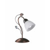 TRADITIO 500700128
