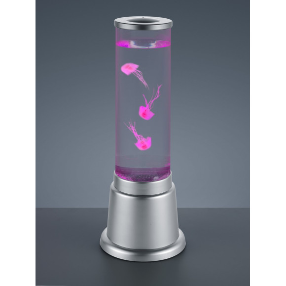 JELLY R50701187 JELLY R50701187