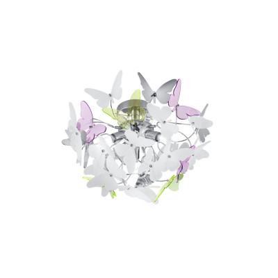 BUTTERFLY R60213017