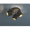 lampa sufitowa TOMMY R80333979 RL | Sklep z lampami lampa sufitowa TOMMY R80333979 RL | Sklep z lampami