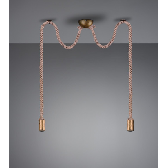 ROPE 310100204