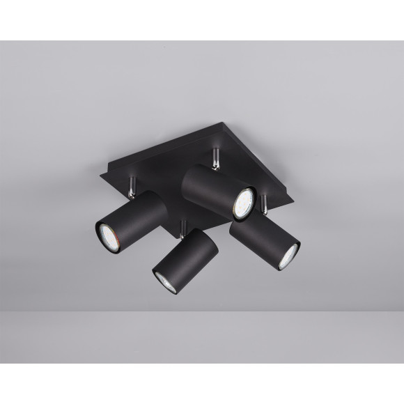 lampa sufitowa nan Trio | Sklep z lampami lampa sufitowa nan Trio | Sklep z lampami