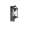 lampa SAMBESI 204160142 Trio | Sklep z lampami