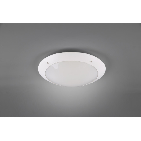 lampa nan RL | Sklep z lampami lampa nan RL | Sklep z lampami