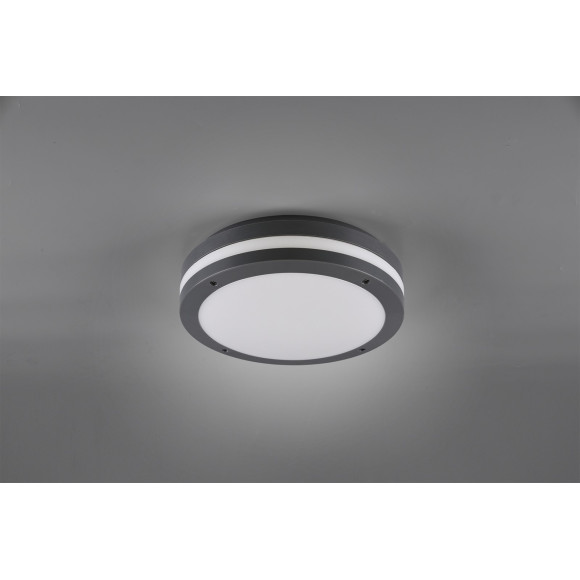 lampa KENDAL R62151142 RL | Sklep z lampami lampa KENDAL R62151142 RL | Sklep z lampami
