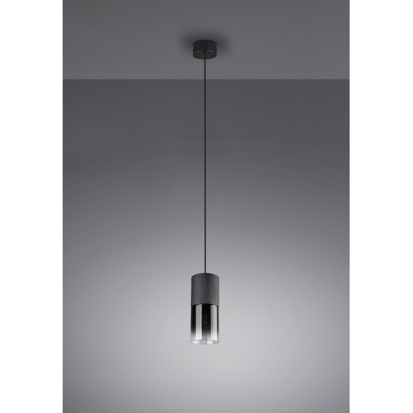 lampa wisząca ROBIN 310600132 Trio | Sklep z lampami lampa wisząca ROBIN 310600132 Trio | Sklep z lampami