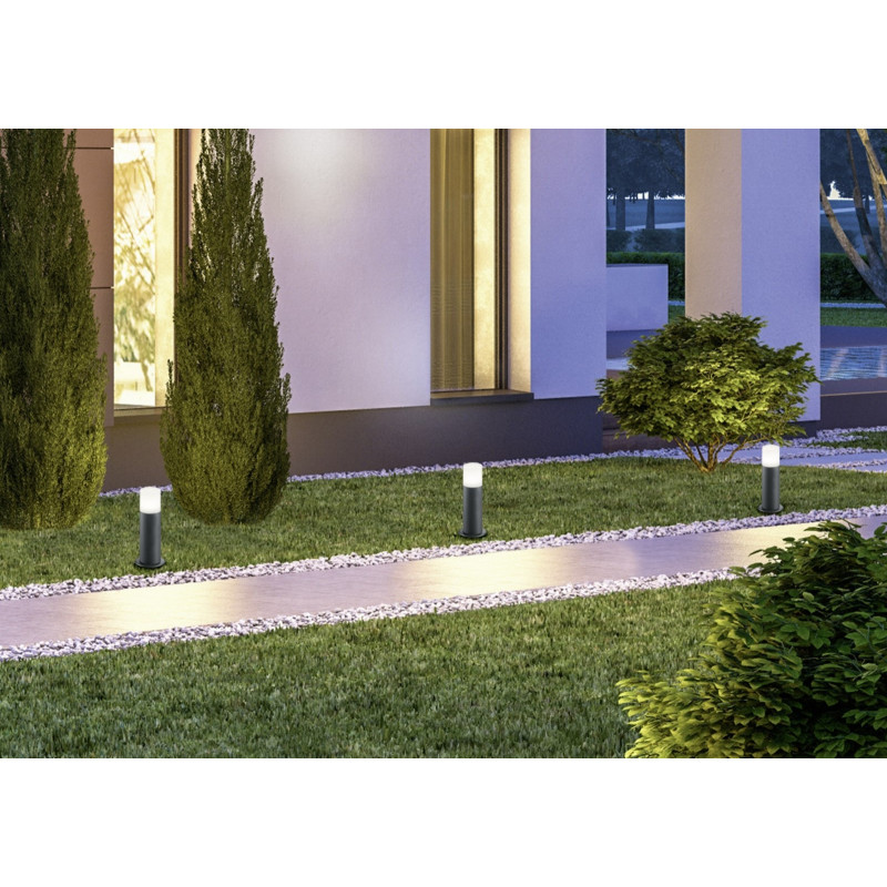 lampa HOOSIC 524060142 Trio | Sklep z lampami lampa HOOSIC 524060142 Trio | Sklep z lampami