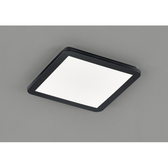 CAMILLUS R62931832