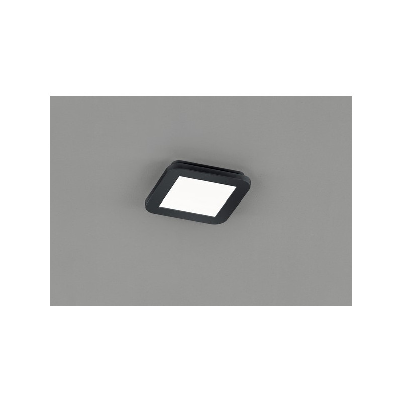 CAMILLUS R62931032
