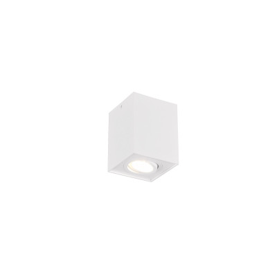 BISCUIT 613000131