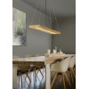lampa wisząca BRAD 323710130 Trio | Sklep z lampami