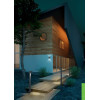 ROYA 204260242