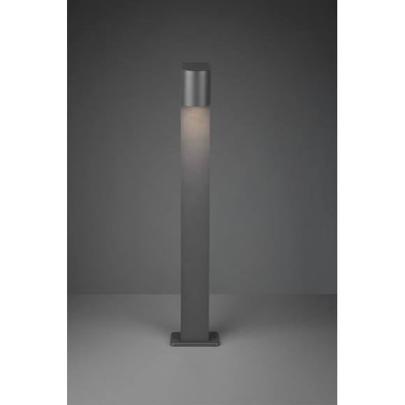 lampa ROYA 404260142 Trio | Sklep z lampami lampa ROYA 404260142 Trio | Sklep z lampami