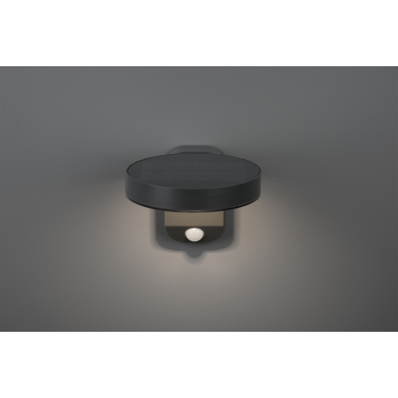 lampa POSADAS R22251142 RL | Sklep z lampami lampa POSADAS R22251142 RL | Sklep z lampami
