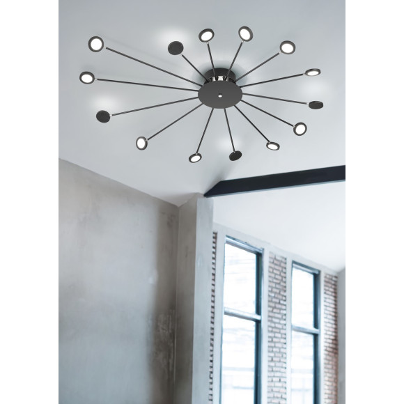 lampa sufitowa PEACOCK 679511532 Trio | Sklep z lampami