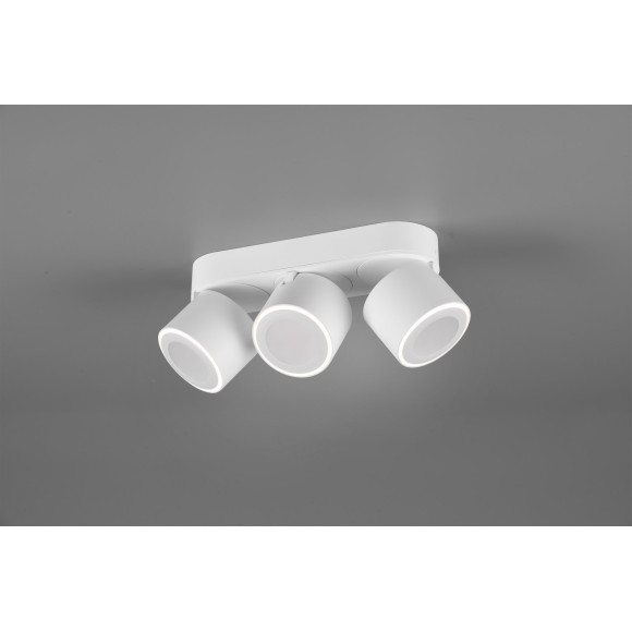 lampa sufitowa TAURUS 652910331 Trio | Sklep z lampami lampa sufitowa TAURUS 652910331 Trio | Sklep z lampami