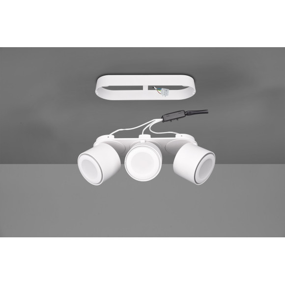 lampa sufitowa TAURUS 652910331 Trio | Sklep z lampami lampa sufitowa TAURUS 652910331 Trio | Sklep z lampami