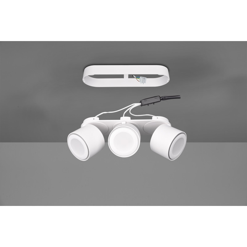 lampa sufitowa TAURUS 652910331 Trio | Sklep z lampami lampa sufitowa TAURUS 652910331 Trio | Sklep z lampami