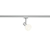 lampa DUOLINE 78170107 Trio | Sklep z lampami