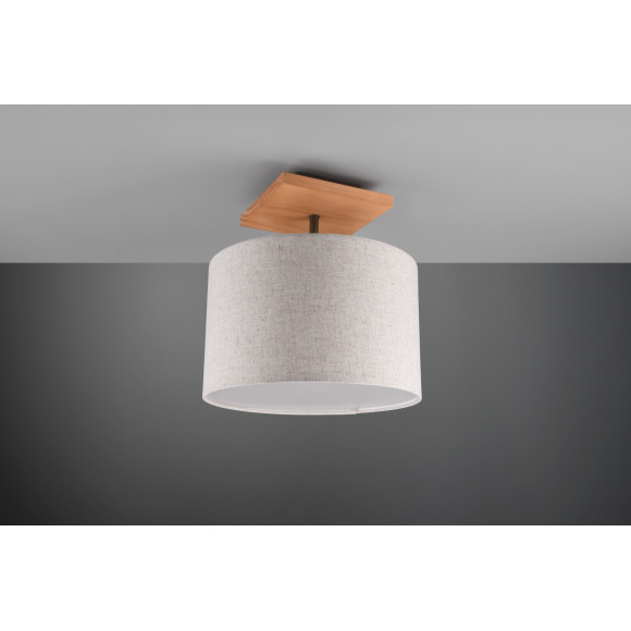 lampa sufitowa ELMAU 602100130 Trio | Sklep z lampami