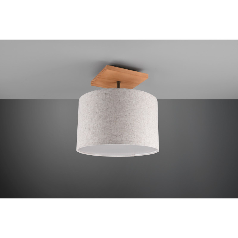 lampa sufitowa ELMAU 602100130 Trio | Sklep z lampami
