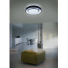 MONA R65041032